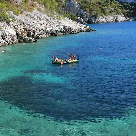 Stress Free Rogač